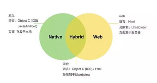 我校开展示范专业 微网站与移动开发 专业技能培训讲座